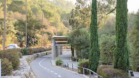 צעדת ירושלים, צילום: עיריית ירושלים
